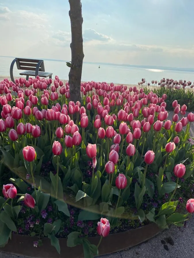Vanti Al Garda Apartment Bardolino